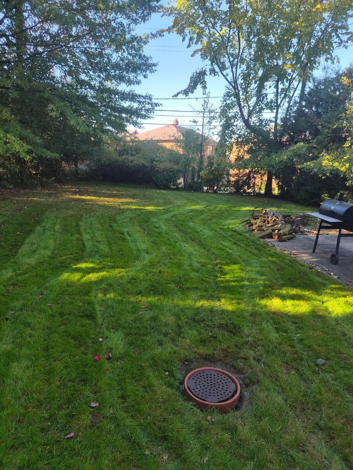 Lawn Care service