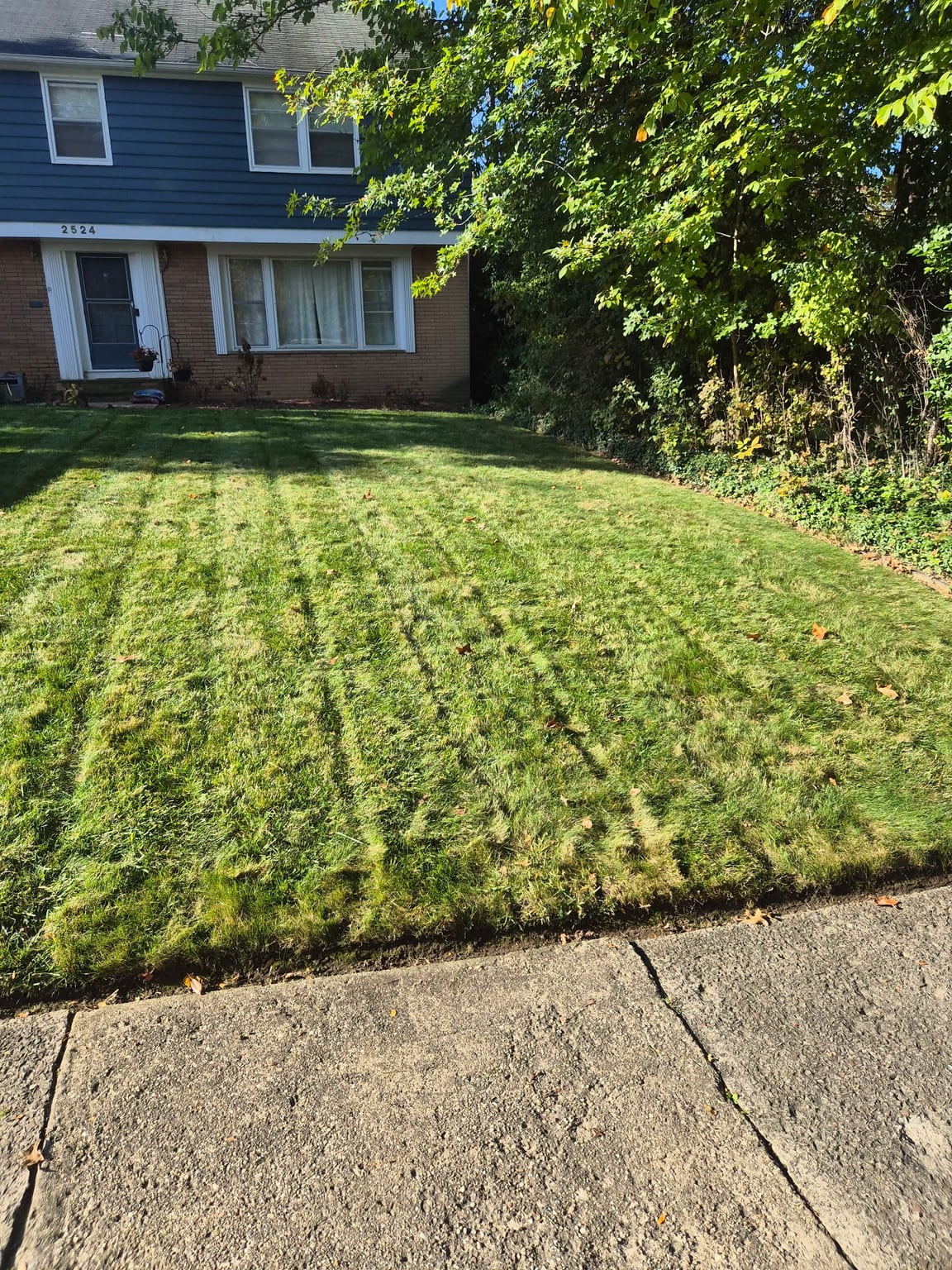 Mowing lines across a front lawn beside a sidewalk and blue house
