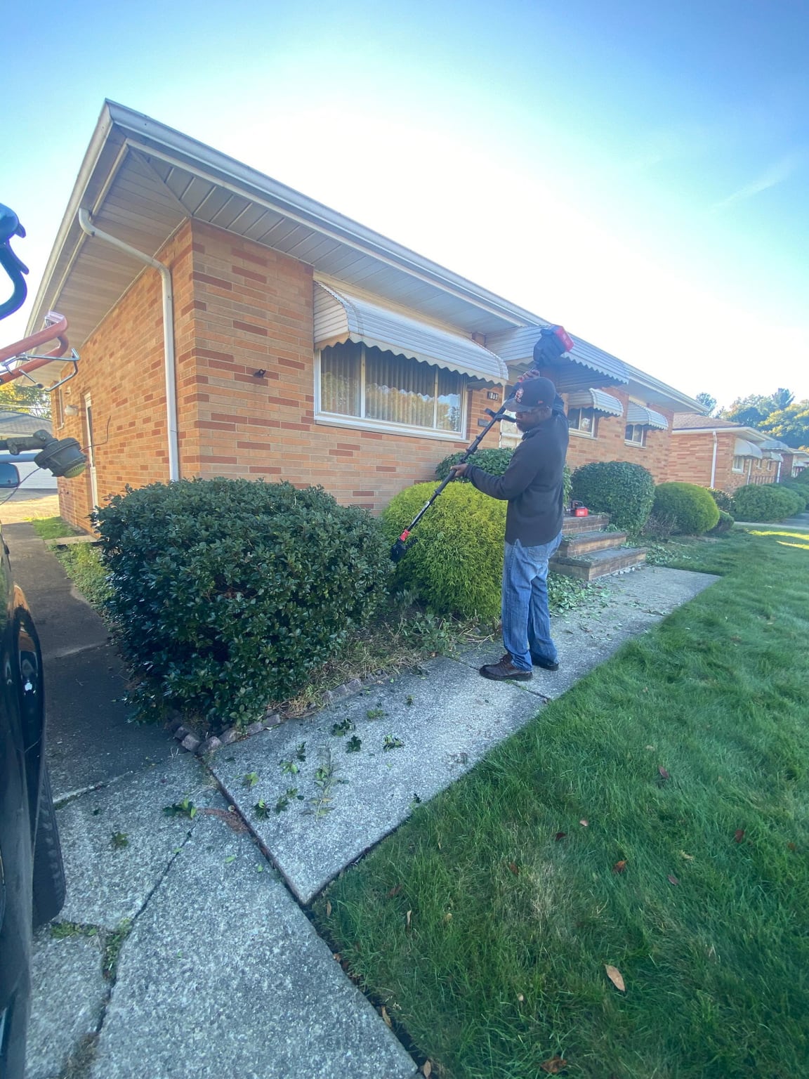 A worker shaping a broad front hedge with a pole hedge trimmer