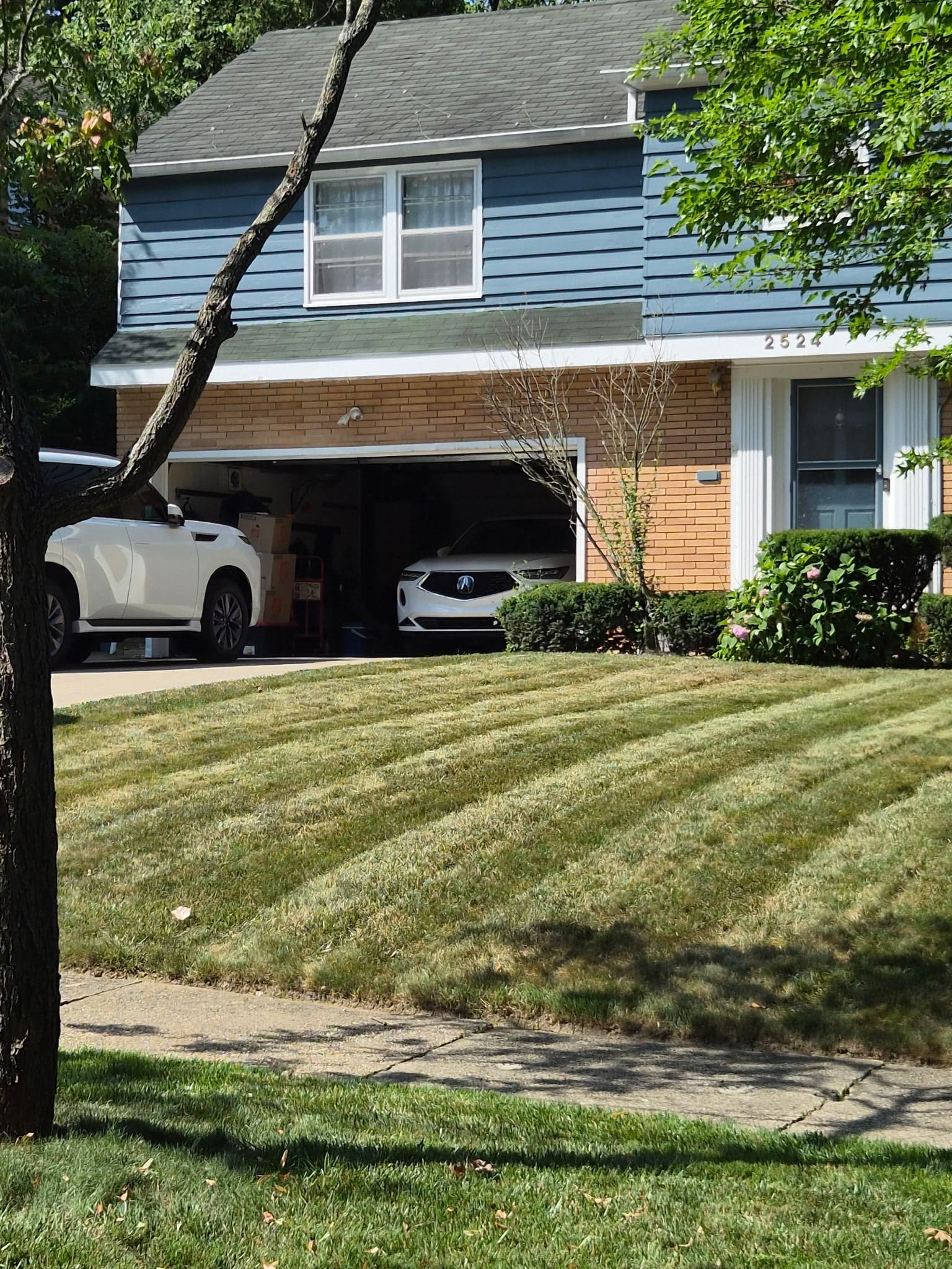 Mowing lines across a sloped front lawn in front of a blue house